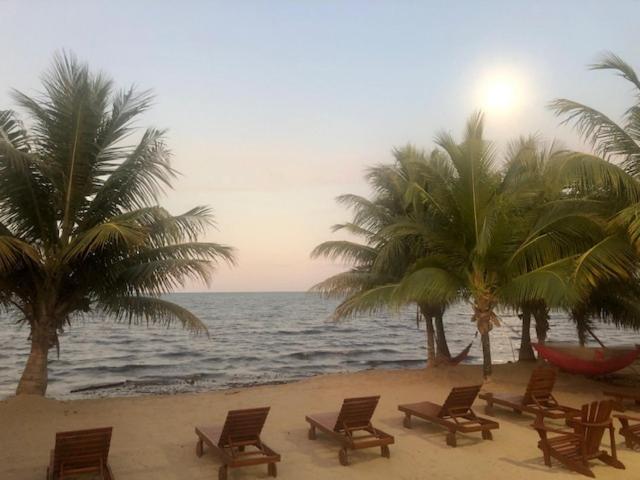 The White Horse Inn - Hopkins Village Beach Belize ภายนอก รูปภาพ